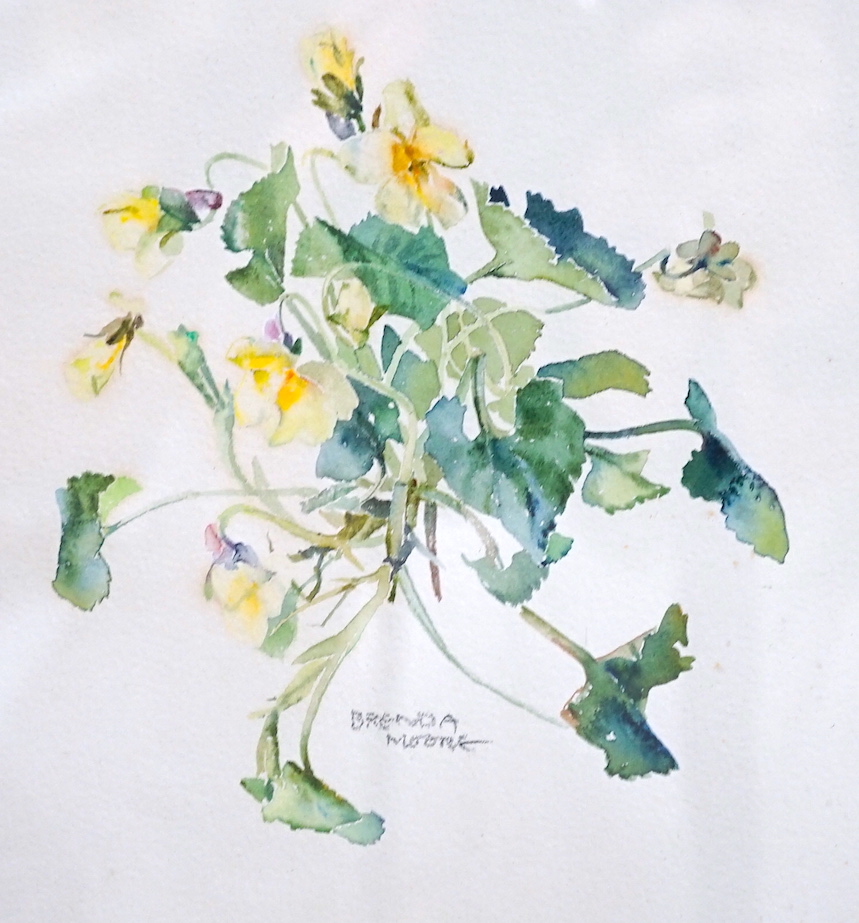 Brenda Moore (1909-1995), two watercolours, 'Single yellow rose' and 'Yellow violet', signed, 16 x 14.5cm and 19 x 17cm